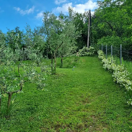 Appartement Zelkonn House Branik