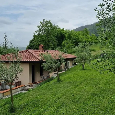 Zelkonn House