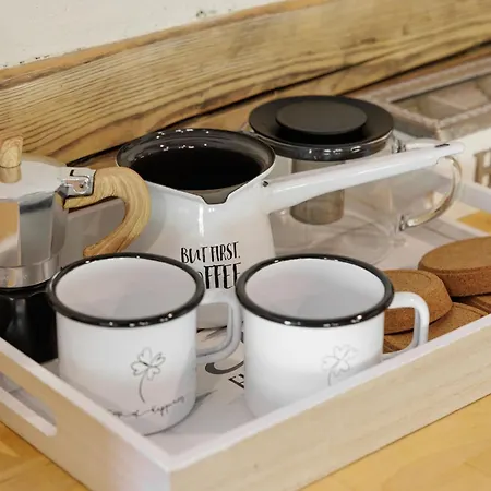 Zelkonn House Branik