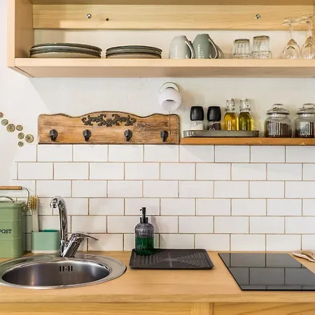 Zelkonn House Branik