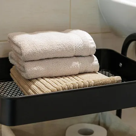 Zelkonn House Branik