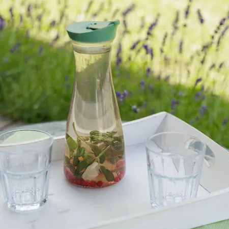 Appartement Zelkonn House *