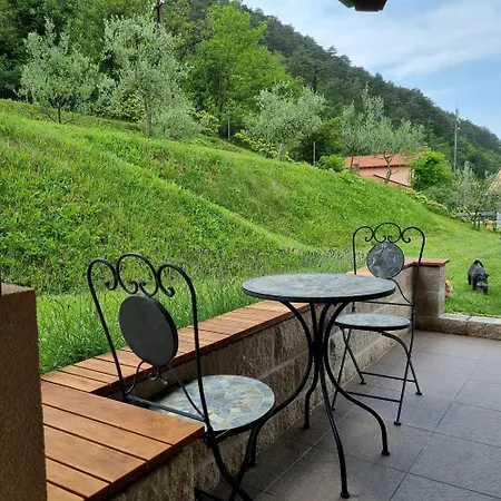 Appartement Zelkonn House *