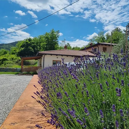 Zelkonn House Appartement Branik