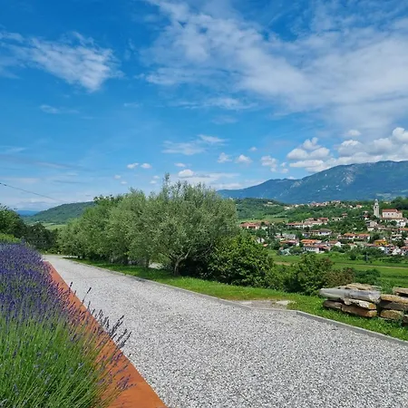 Lejlighed Zelkonn House *