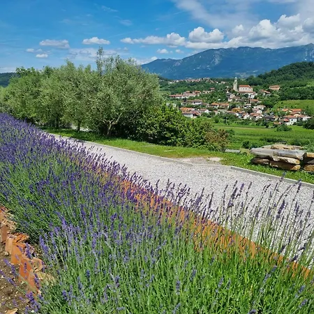 Zelkonn House Apartamento *