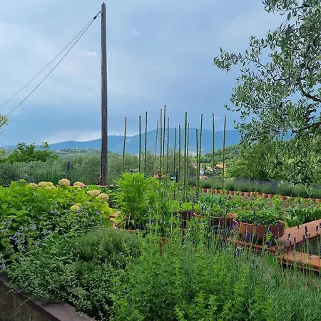 Zelkonn House Apartman Branik