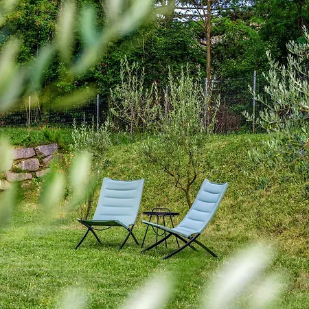 Zelkonn House * Branik