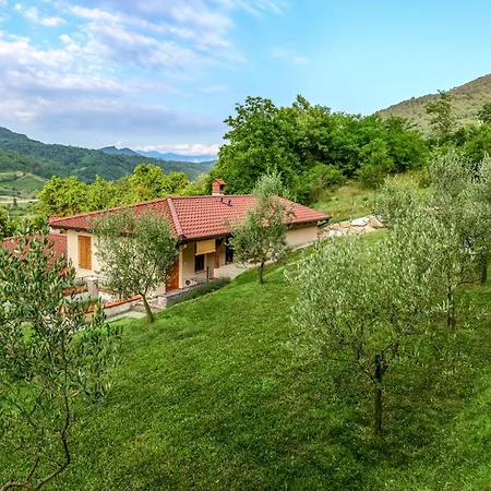 Apartament Zelkonn House