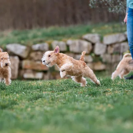 Διαμέρισμα Zelkonn House *