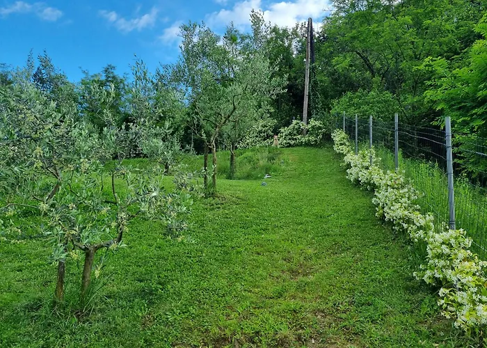 Appartamento Zelkonn House Branik