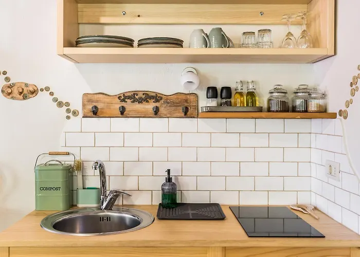 Zelkonn House Branik