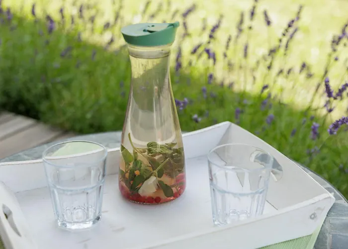 Apartma Zelkonn House *