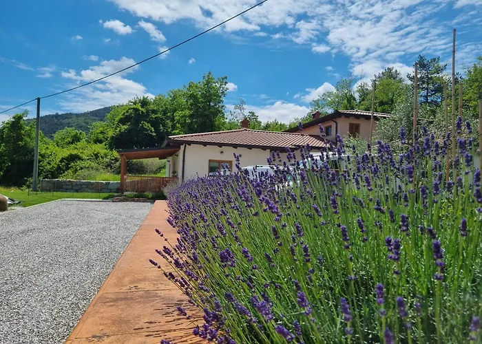 Zelkonn House Apartamento Branik