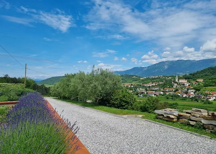 Apartamento Zelkonn House *