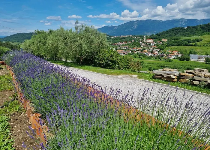 Zelkonn House Apartamento *