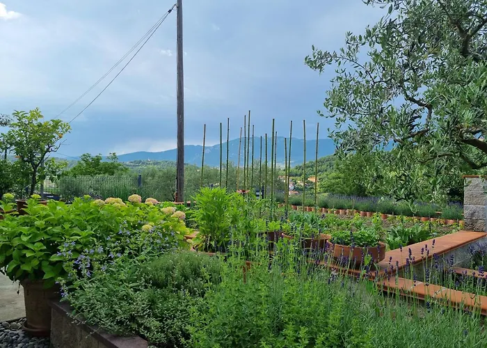 Zelkonn House Apartamento Branik