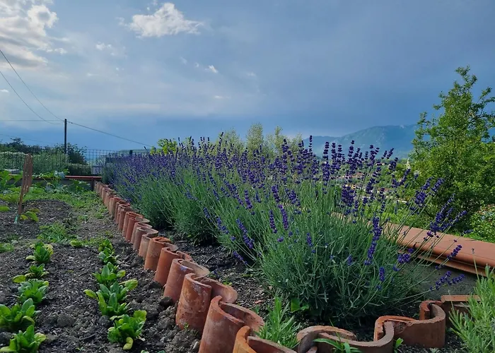 Appartamento Zelkonn House Branik