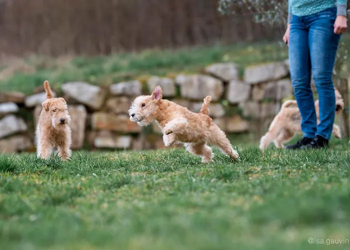 Apartma Zelkonn House *